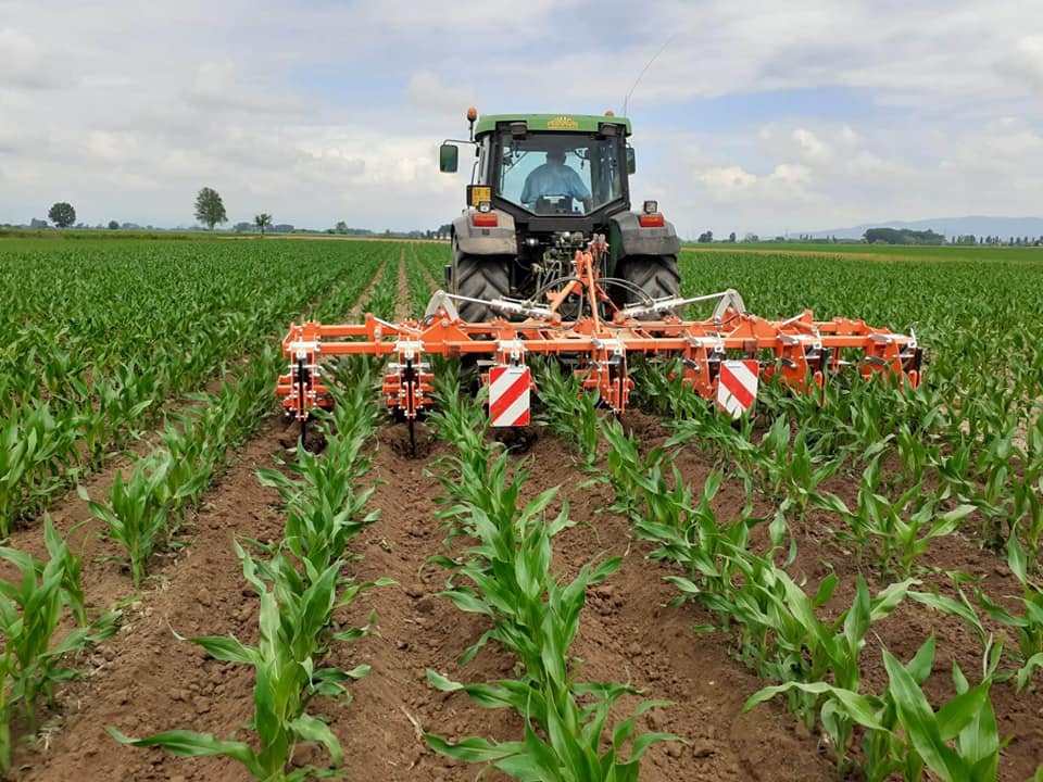 Esperienza e qualità